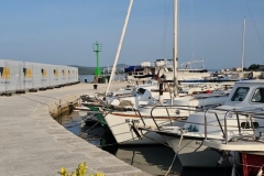 IMG-20230712-WA0008_large