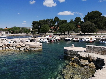 118608429_1427493427444808_2878621322823202713_o