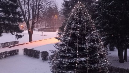 252163_8c50b32f92a642a6ba7c.jpg.688x388_q85_crop_upscale