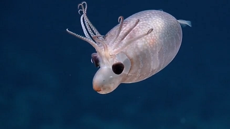 3a2f127e2ac9a79ef49e