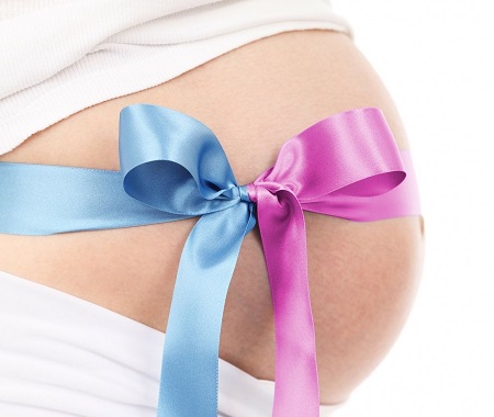 5f4772acf99fa4e8cf5c2fc67e0dd378_L