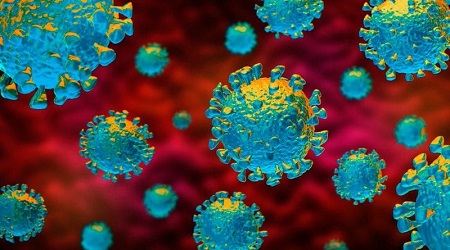 92228449_2830587637027812_2546063897333334016_n