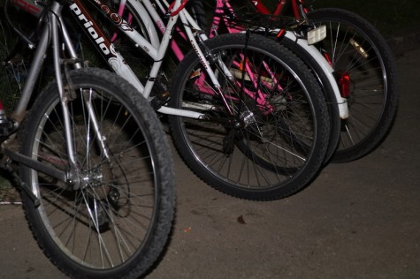 Bicikli (foto: Žeminea Čotrić)