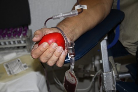 DDK (Foto: Žeminea Čotrić)