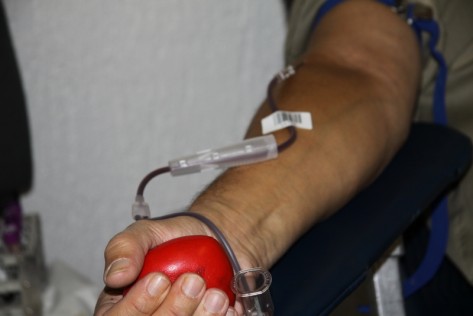 DDK (Foto: Žeminea Čotrić)