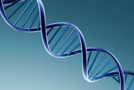 Ilustracija: dešifriranje gena