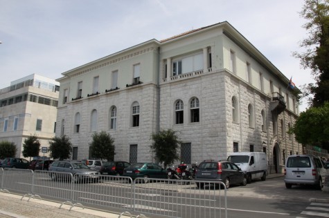 Fina (Foto: Ivan Katalinić)