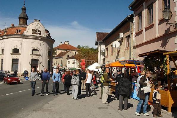 hrvatska kostajnica