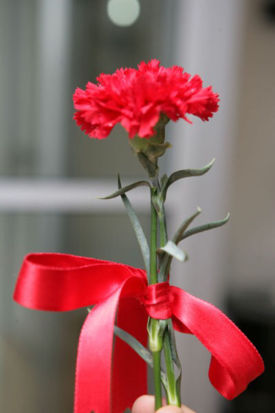 IMG-cf9df27f59077f845c60c451e14336fa-V