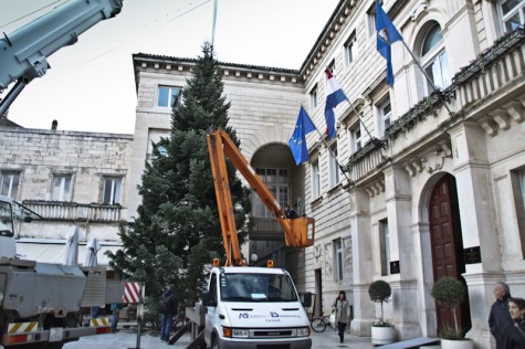 Postavljanje blagdanske jelke na Narodnom trgu (Foto: Žeminea Čotrić)
