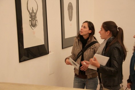 Izložba A što ako vam se sviđam, Gradska Loža (Foto: Ivan Katalinić) Izložba A što ako vam se sviđam, Gradska Loža (Foto: Ivan Katalinić)