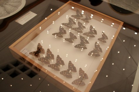 Izložba A što ako vam se sviđam, Gradska Loža (Foto: Ivan Katalinić) Izložba A što ako vam se sviđam, Gradska Loža (Foto: Ivan Katalinić)