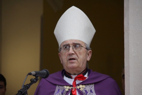 Misa povodom Svih Svetih, Mons. Želimir Puljić (Foto: Ivan Katalinić)