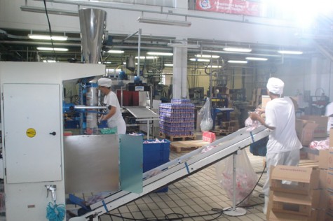 Ilustracija: mljekara