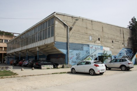 Jazine (Foto: Ivan Katalinić)