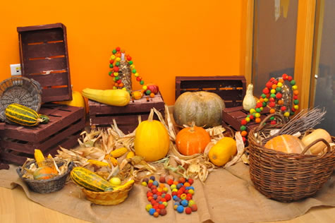 Jesenski kutak (foto: Žeminea Čotrić)