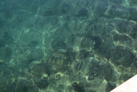 More (Foto: Ivan Katalinić)