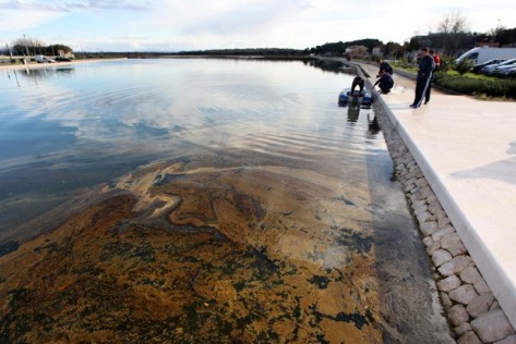 Nin ulje u moru iz transrformatora (Foto: PIXSELL)