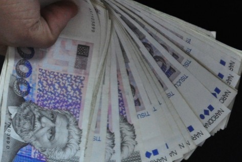 Novac (foto: Žeminea Čotrić)