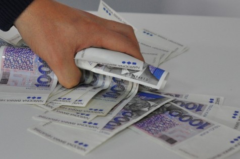 Novac (foto: Žeminea Čotrić)