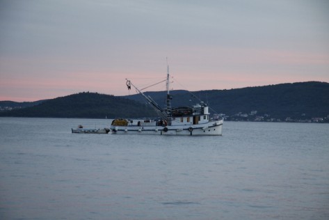 Ribarica (Foto: Žeminea Čotrić)