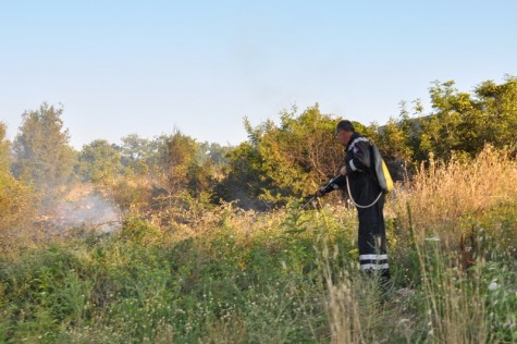 Vatrogasci gase opožareno mjesto (Foto: Žeminea Čotrić)