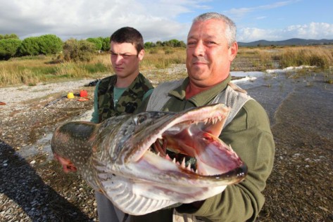 Vransko jezero Štuka (Foto: PIXSELL)
