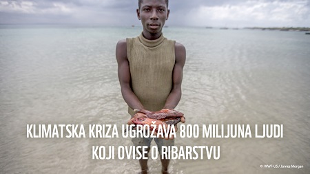 WWF-FISH-FORWARD-CLIMATE_CRISIS_01