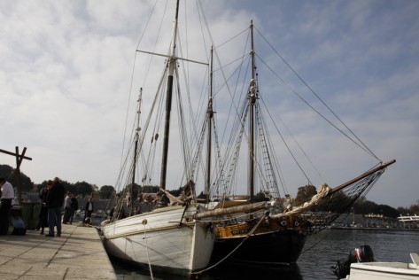 Zadar More (foto: Žeminea Čotrić)