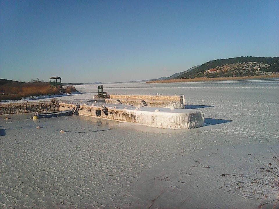 Prosika- FOTO čitatelj