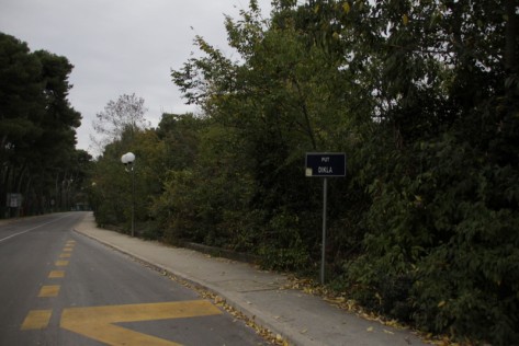 Zemljište Borik (foto: Žeminea Čotrić)