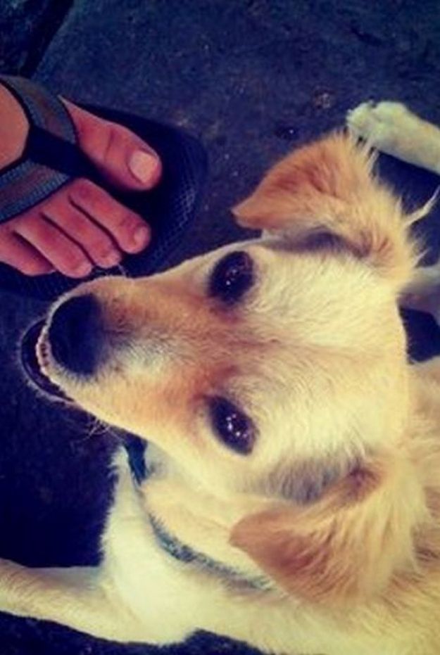 pas_19072014_instagram