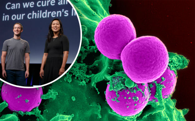 Foto: Facebook, Wikipedia