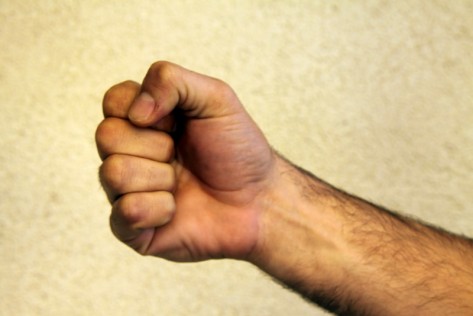 Šaka (foto: Žeminea Čotrić)