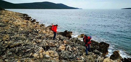 tn_large_1585324255-fb_img_1585316364651