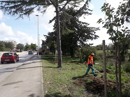 x05102020091754_Biogradska__1_.jpg.pagespeed.ic.PAhZh3hc44