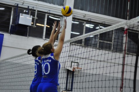 ŽOK Zadar (foto: Žeminea Čotrić)