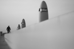IMG_0123_1