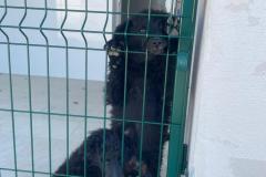 IMG-20260408-WA0016