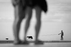 842A6254