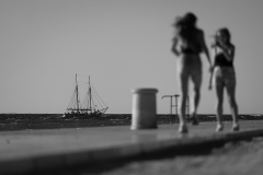 842A8484
