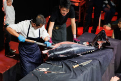 Gala-vecer-Tuna-Sushi-Wine-Festival-Arsenal-Zadar-11.4.2025_112-10-Gala-vecera-Arsenal-Tuna-Sushi-Wine-Festival-Zadar-11.4.2025-Foto-Bojan-Bogdanic