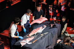 Gala-vecer-Tuna-Sushi-Wine-Festival-Arsenal-Zadar-11.4.2025_115-10-Gala-vecera-Arsenal-Tuna-Sushi-Wine-Festival-Zadar-11.4.2025-Foto-Bojan-Bogdanic