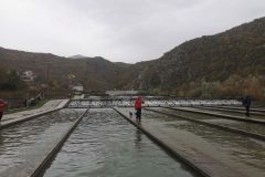 norvezani-13