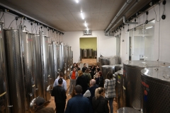 Vinarija-Skaulj