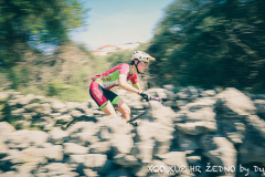 Begic