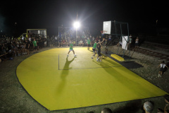 Basket-ma-prugi-foto