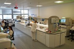 lab-day-1-2048x1150