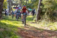 FB_IMG_1762793120642