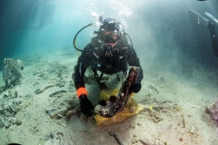 Korak-blize-prirodi_1